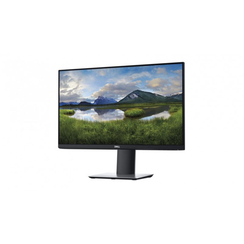 Dell P2419H